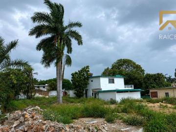 TERRENO EN VENTA EUCALIPTO ALTAVISTA