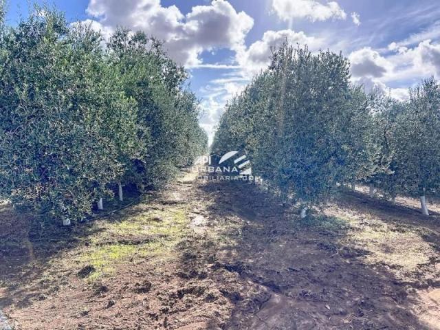 Terreno en venta Écija