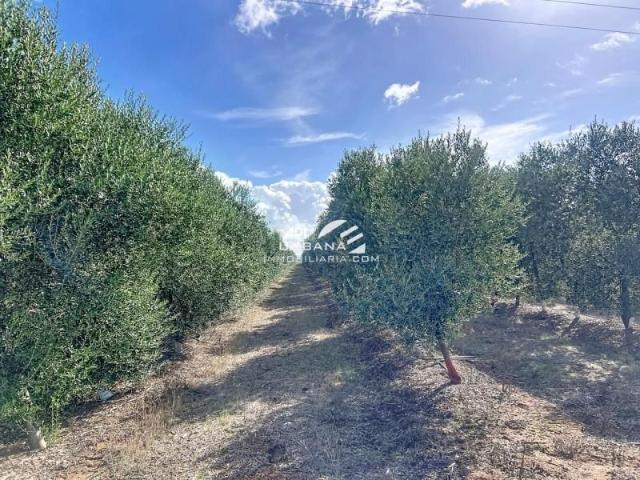 Terreno en venta Écija