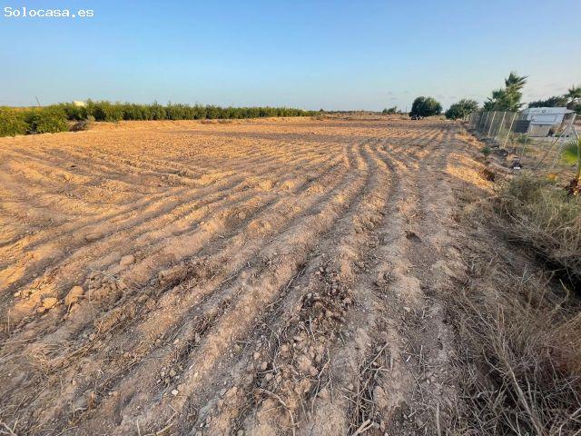 TERRENO EN VENTA EL MOLAR