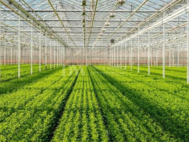Terreno en venta el Morche
