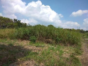 TERRENO EN VENTA EL COLOLONIA LOS MAGUITO AL SUR PONIENTE DE TUXTLA GUTIERREZTERRENO EN TERRENO EN VENTA EN COL EL MANGUITO AL SUR PONIENTE DE TUXTLA GUTIERREZ, Los Manguitos