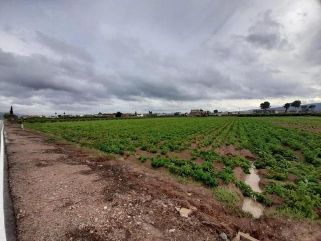 Terreno en venta El Esparragal