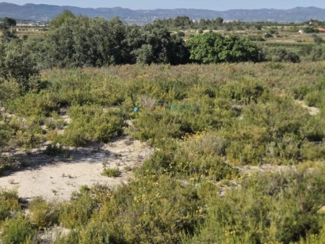 Terreno en venta El Palomar