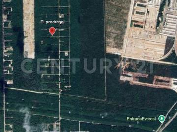 TERRENO EN VENTA EL PEDREGAL CANCUN CE0226