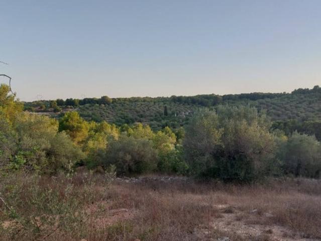 Terreno en venta el Perelló