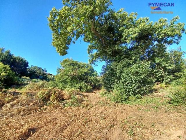 Terreno en venta El Rosario