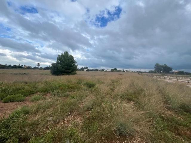 Terreno en venta El Verger