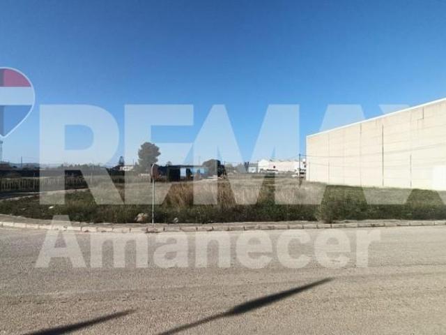 Terreno en venta El Verger