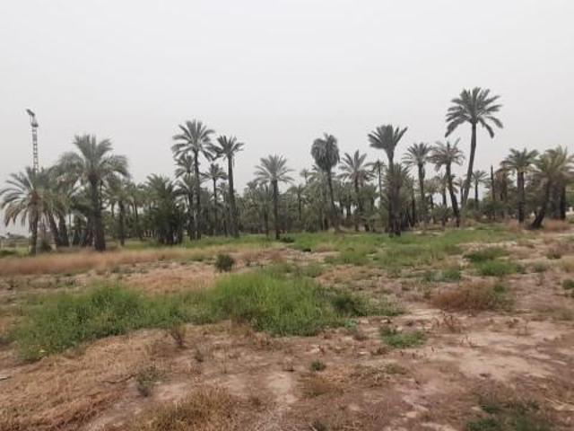 Terreno en venta Elche