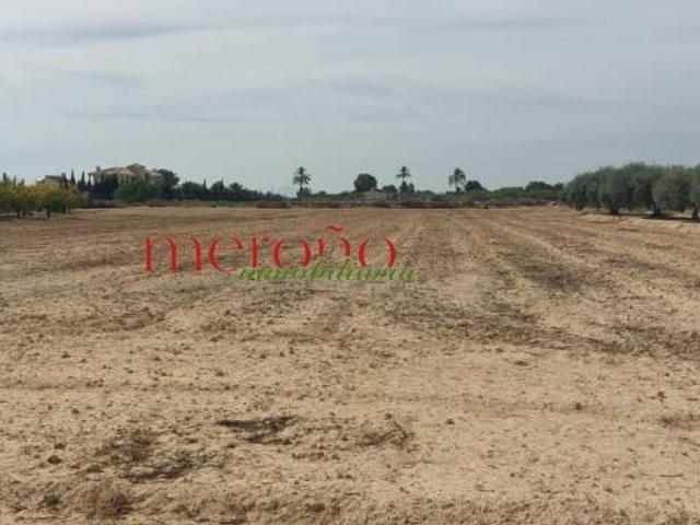 Terreno en venta Elche