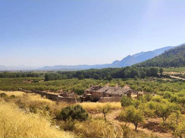Terreno en Venta en Mula