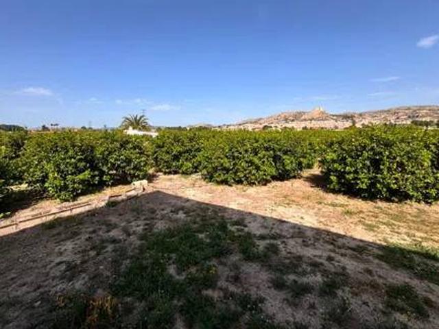 Terreno en Venta en Mula