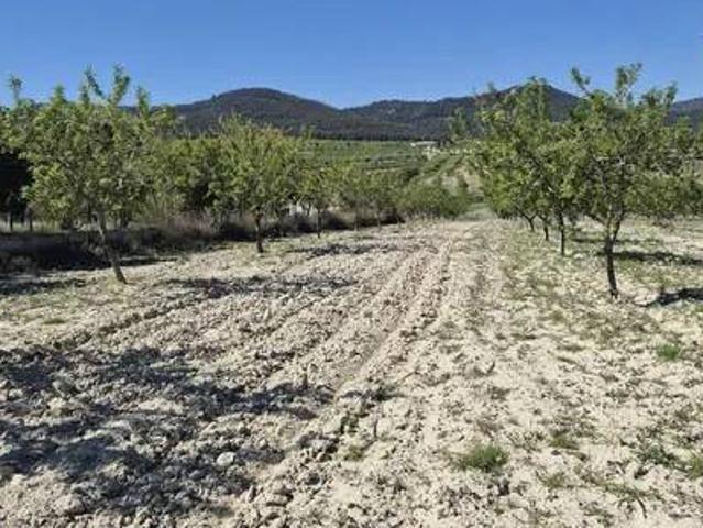 Terreno en Venta en Mula