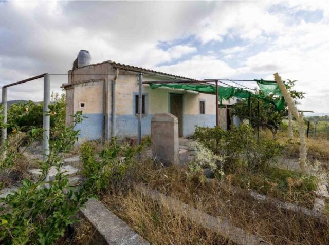 Terreno en Venta en Mula
