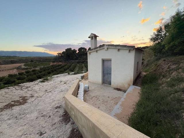 Terreno en Venta en Mula