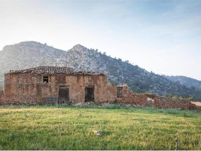 Terreno en Venta en Mula