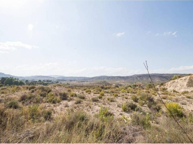 Terreno en Venta en Mula