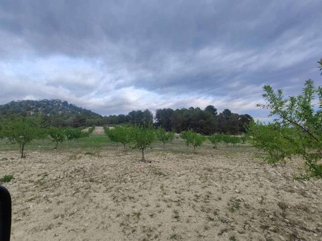 Terreno en Venta en Mula