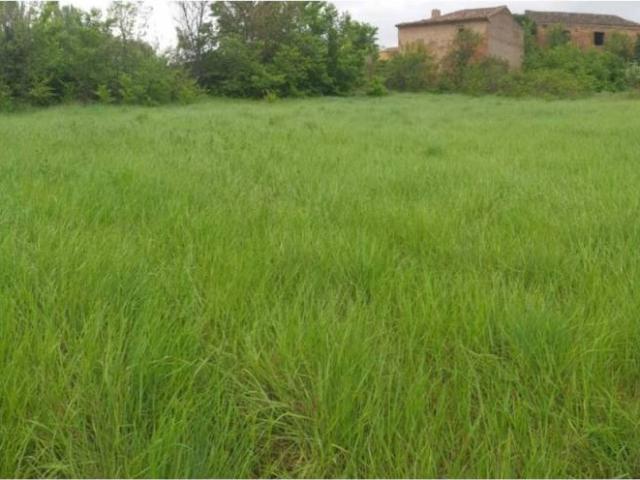 Terreno en Venta en Munébrega
