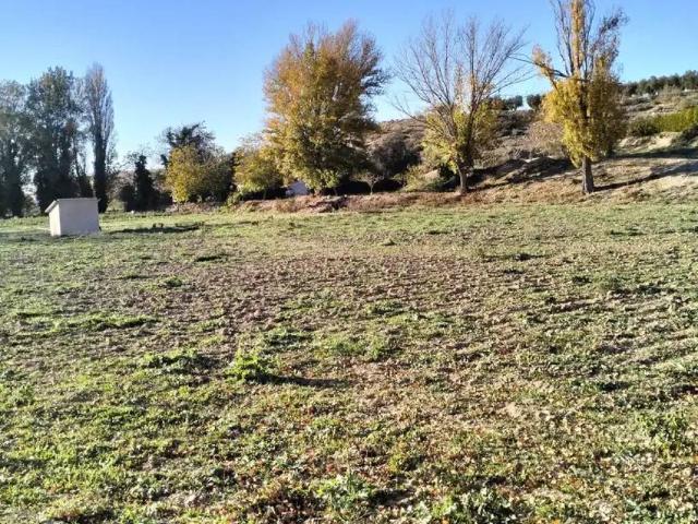 Terreno en Venta en Munera