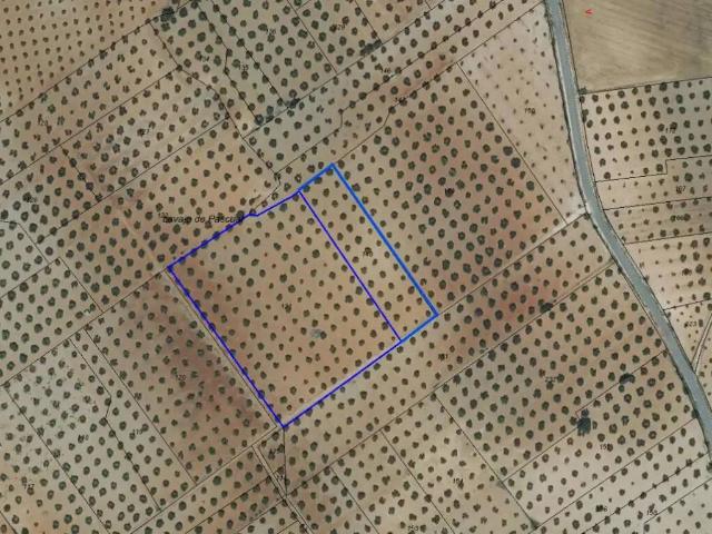 Terreno en Venta en Munera