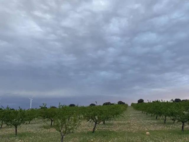 Terreno en Venta en Munera