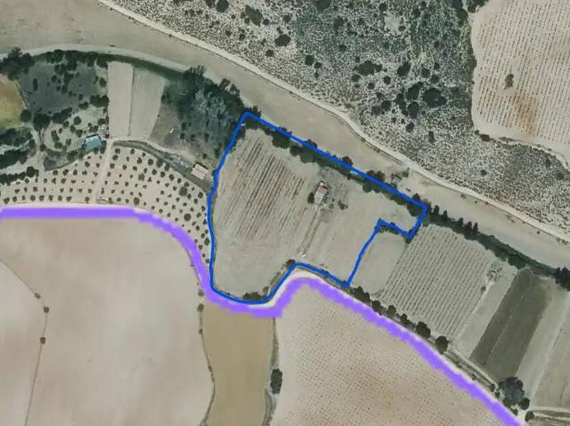 Terreno en Venta en Munera