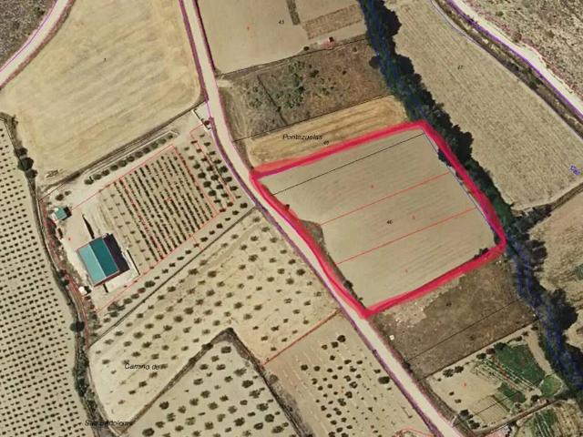 Terreno en Venta en Munera