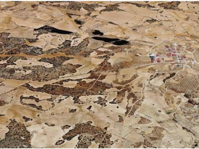 Terreno en Venta en Munera