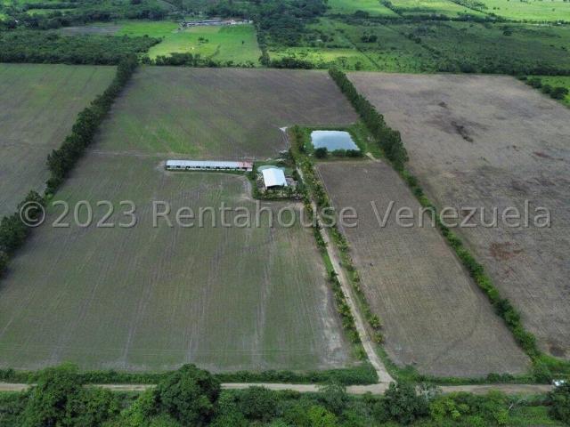 Terreno en Venta en Municipio Peña, Yaritagua