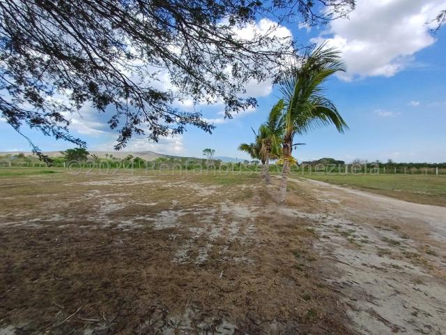 Terreno en Venta en Municipio Peña, Yaritagua