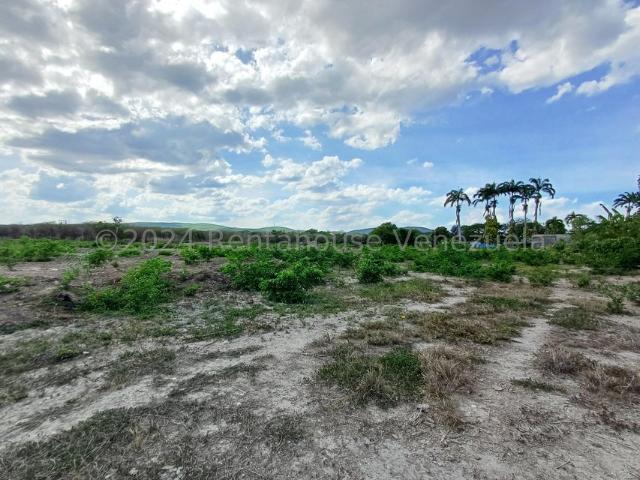 Terreno en Venta en Municipio Peña, Yaritagua