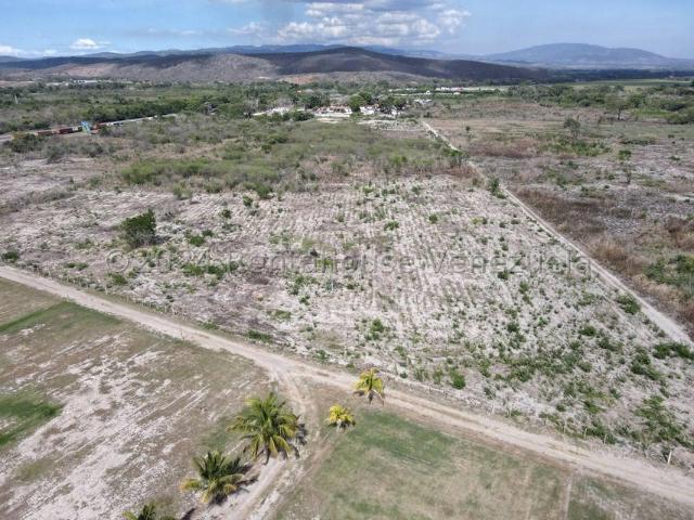 Terreno en Venta en Municipio Peña, Yaritagua