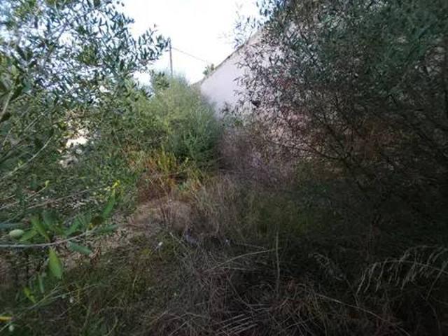 Terreno en Venta en Muro