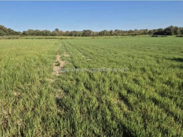 Terreno en Venta en Muro