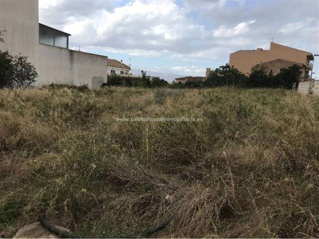Terreno en Venta en Muro