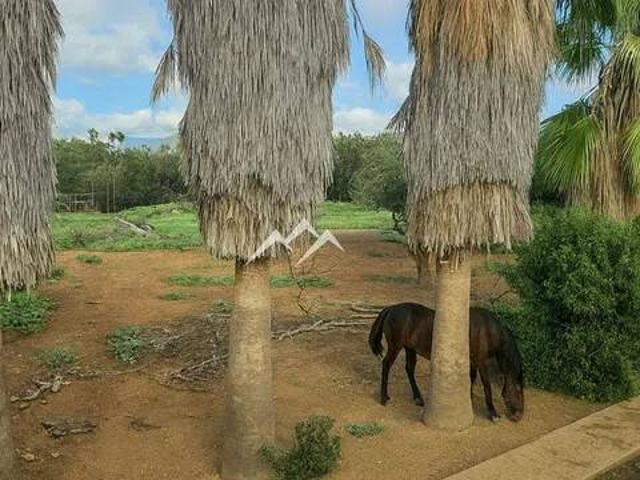 Terreno en Venta en Muro