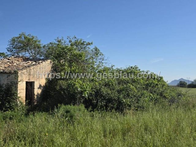 Terreno en Venta en Muro