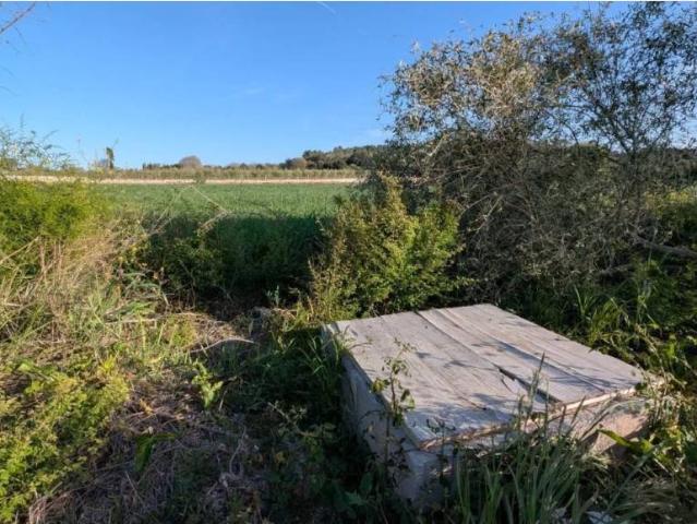 Terreno en Venta en Muro