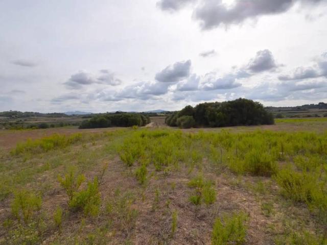 Terreno en Venta en Muro