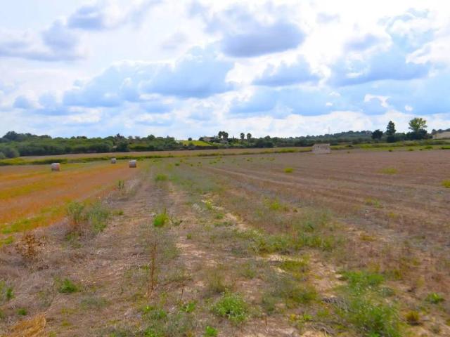 Terreno en Venta en Muro