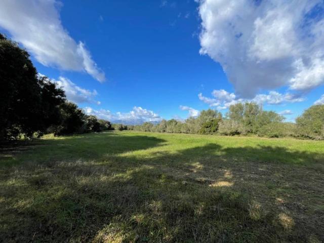 Terreno en Venta en Muro