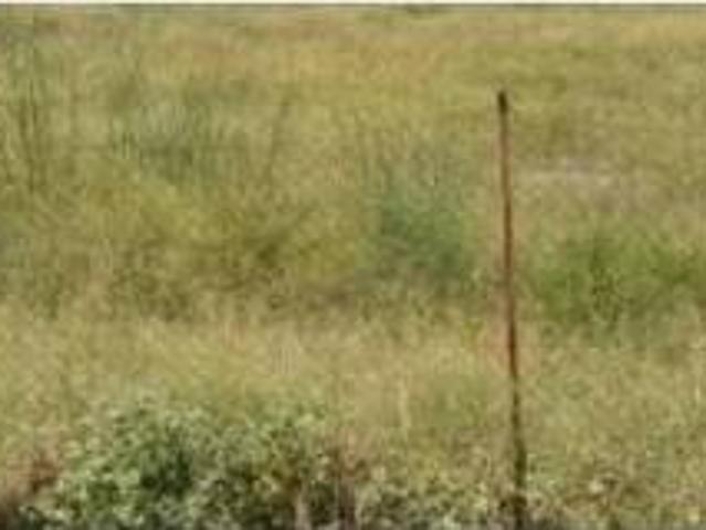 Terreno en Venta en Murcia