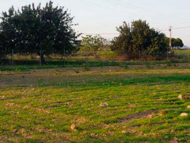 Terreno en venta en Murcia