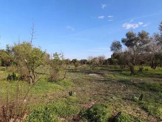 Terreno en Venta en Murcia
