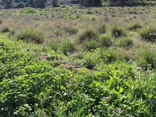 Terreno en Venta en Murcia