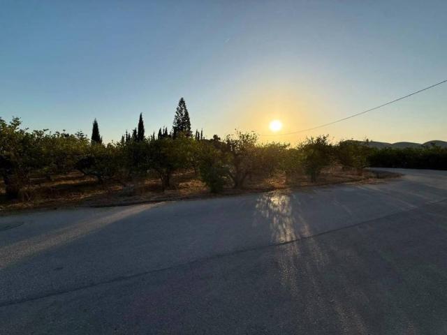 Terreno en Venta en Murcia