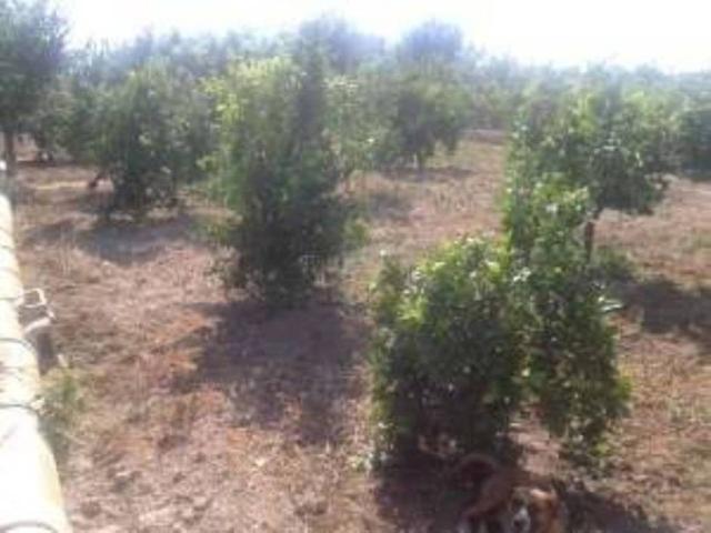 Terreno en Venta en Murcia