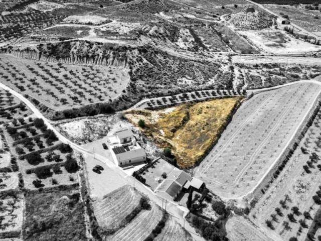 Terreno en Venta en Murcia